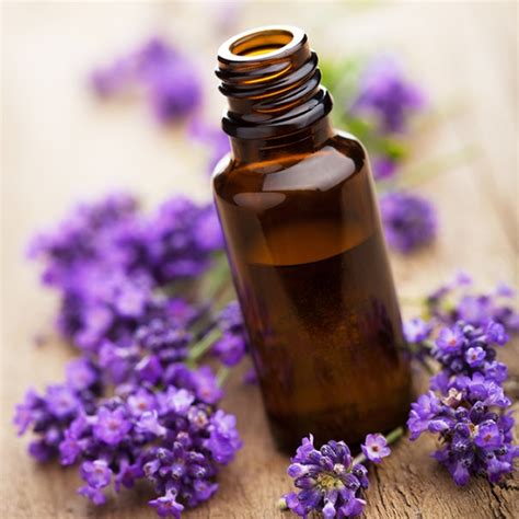 wholesale essential oils for sale.